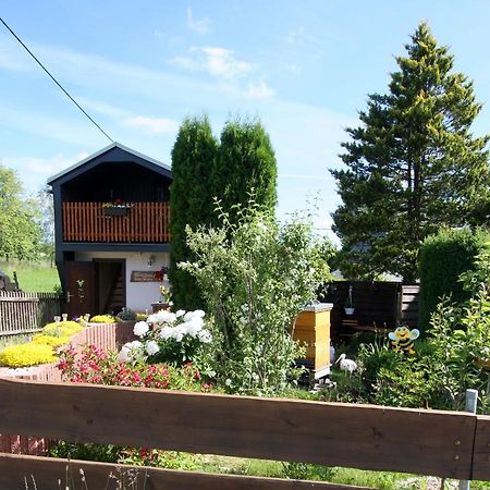 Ferienhaus Beim Imker Marienberg Bagian luar foto